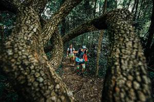 BIB: 
                            <button type="button" onclick="openModal(25392787)" class="btn btn-primary btn-sm float-right btn-popup" data-toggle="modal" data-target=".modal-high-quality">
                        <i class="fas fa-shopping-cart"></i> Add to Cart
                    </button>
                                            <button type="button" onclick="isThisMe(25392787, true)" class="btn btn-success btn-sm float-right btn-popup btn-isme hidden" data-toggle="tooltip" data-placement="bottom" title="นี่คือรูปของคุณใช่ไหม คลิกที่นี่เพื่อเอาเข้าอัลบั้ม">
                        <i class="fas fa-plus"></i> Add to album
                    </button>
                    <button type="button" onclick="isThisMe(25392787, false)" class="btn btn-warning btn-sm float-right btn-popup btn-isnotme hidden">
                        <i class="fas fa-ban"></i> Remove from album
                    </button>